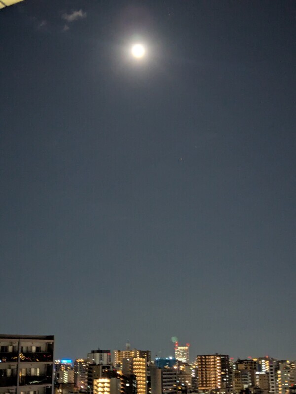 こんばんは(*´∀｀*)