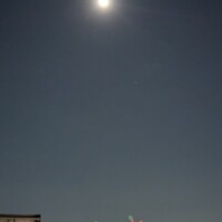 こんばんは(*´∀｀*)