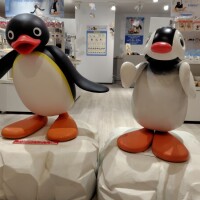 出勤致しました