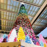 お会い出来るのを楽しみに