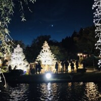 13(土)出勤致します