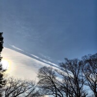 冬の空