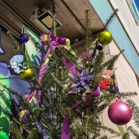 こんばんは(*^^*)