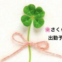 今後の予定です