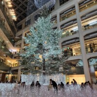 さ、寒いですね