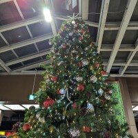 こんばんは(^O^)