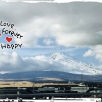 本年も宜しくお願いいたします