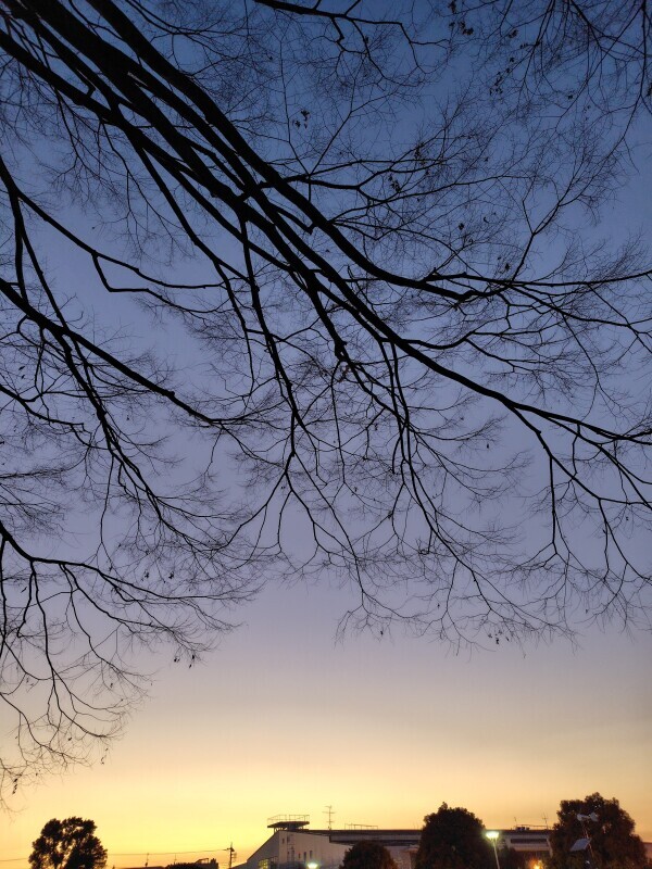 陽がのびましたね