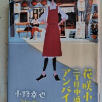小説「花咲小路二丁目中通りのアンパイア」