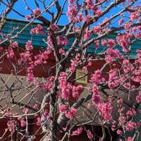 こんばんは(*´∀｀*)