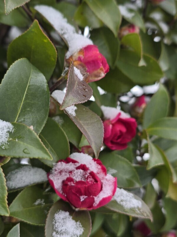 こんばんは(*´∀｀*)