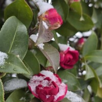 こんばんは(*´∀｀*)