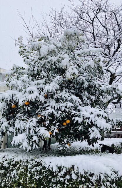 セラピスト冥利に尽きます