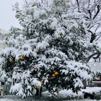 セラピスト冥利に尽きます