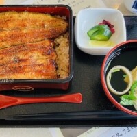 深夜の飯テロ失礼致します