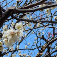 こんばんは(*´∀｀*)