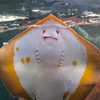 こんばんは(*´∀｀*)