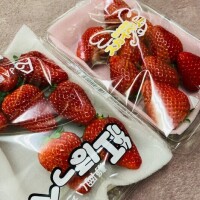 違いがわかる苺