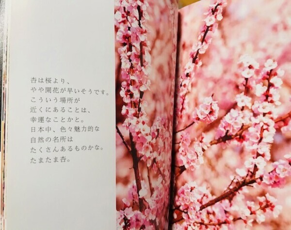 明日15:00～出勤致します