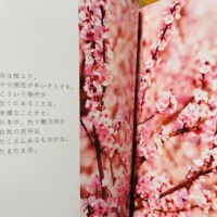 明日15:00～出勤致します