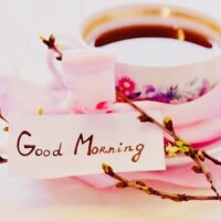 本日出勤来週・再来週の予定は後程