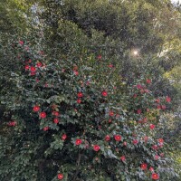 おはようございます(*´ω｀*)