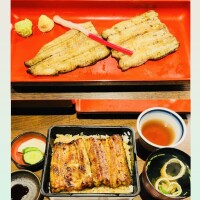 今日はトリプル開運日