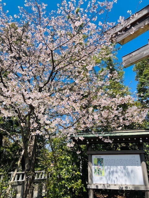 念願の神社を参拝
