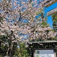 念願の神社を参拝