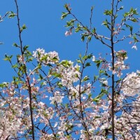 こんばんは(*^▽^*)