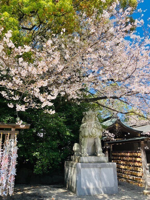 昨日の御礼今週の出勤予定