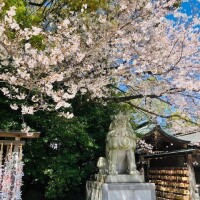 昨日の御礼今週の出勤予定