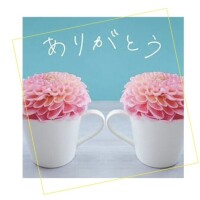 さくらです