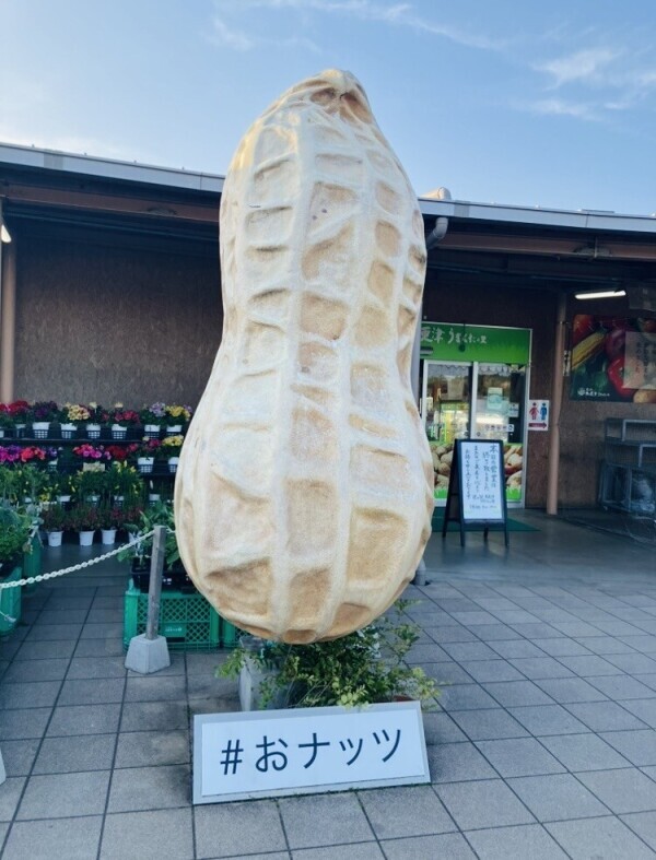 さくらです