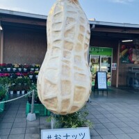 さくらです