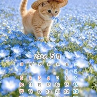 GW中の予定明日2(土)は前日予約にて