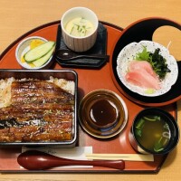 １年が経ちました