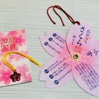 残り一枠