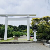 さくら