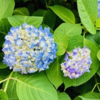 只今のお時間、空いております