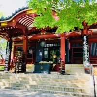 念願のお寺参拝と来週のシフト