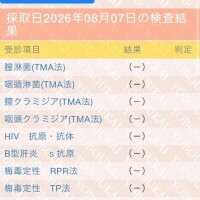 鳳めめ