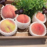鳳めめ