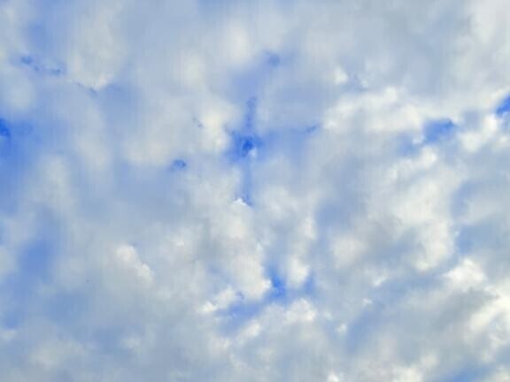 ご予約して頂いたのに。