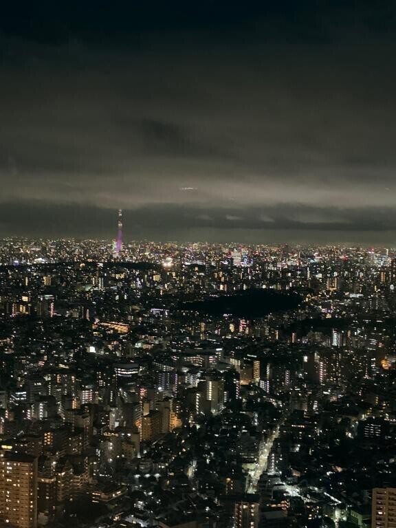 上から見る景色