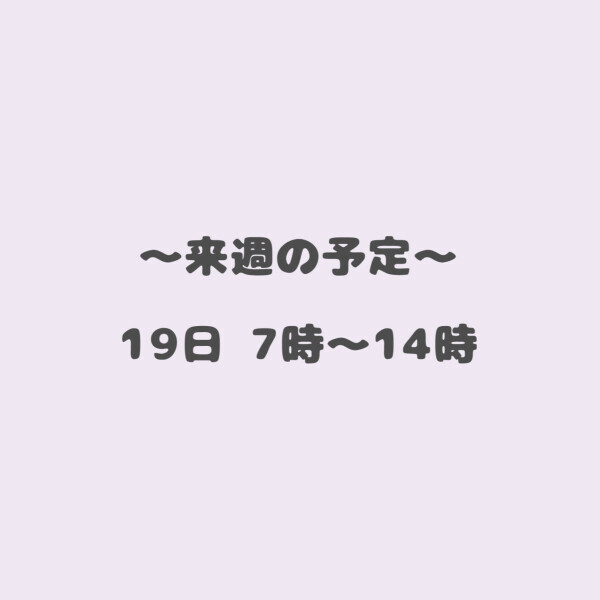 ?来週の予定?