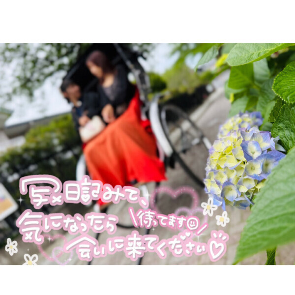 6月も!