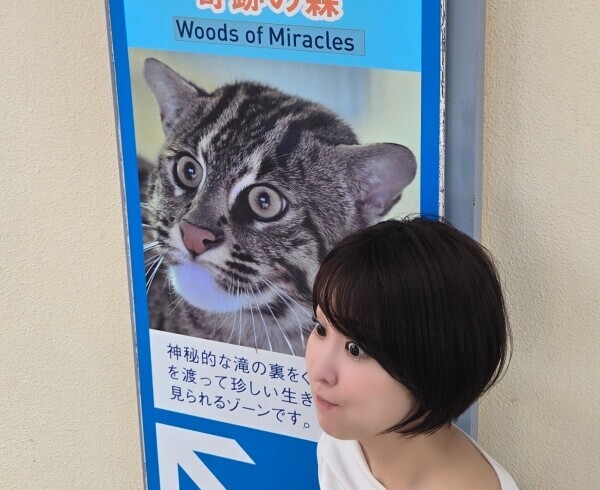 (=゜ω゜=)