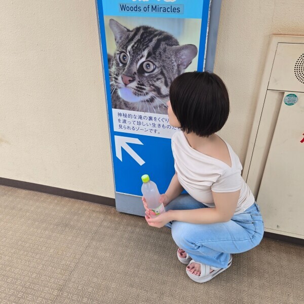 (=゜ω゜=)
