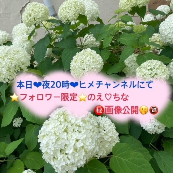 ??画像公開??